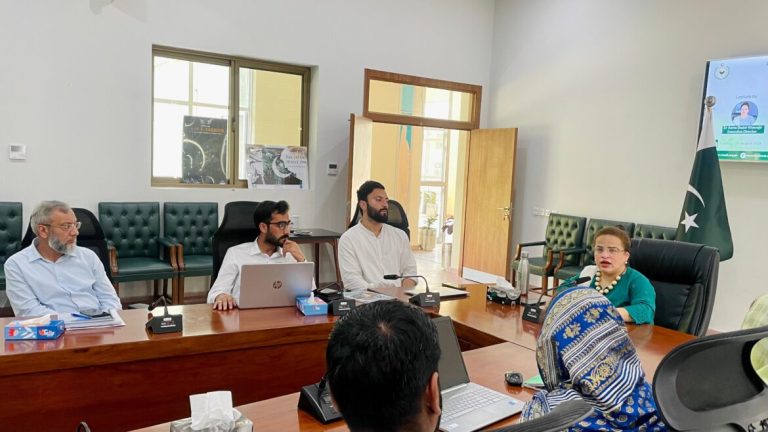 Forging a Common Pakistani Identity: Need of Unity in Diversity